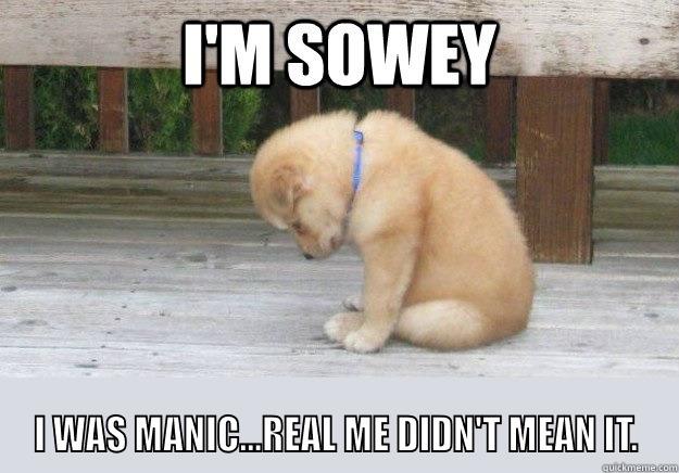 Sowey Puppy -  I WAS MANIC...REAL ME DIDN'T MEAN IT. Misc