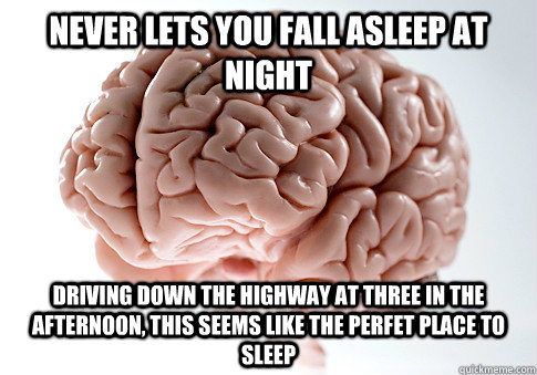 NEVER LETS YOU FALL ASLEEP AT NIGHT DRIVING DOWN THE HIGHWAY AT THREE IN THE AFTERNOON, THIS SEEMS LIKE THE PERFET PLACE TO SLEEP - NEVER LETS YOU FALL ASLEEP AT NIGHT DRIVING DOWN THE HIGHWAY AT THREE IN THE AFTERNOON, THIS SEEMS LIKE THE PERFET PLACE TO SLEEP  Scumbag Brain