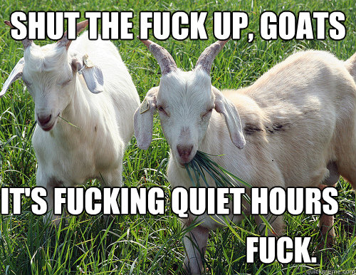 shut the fuck up, goats it's fucking quiet hours fuck.  