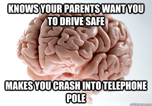 knows your parents want you to drive safe makes you crash into telephone pole  Scumbag Brain