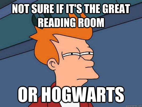 Not sure if it's The Great Reading Room Or Hogwarts  Futurama Fry