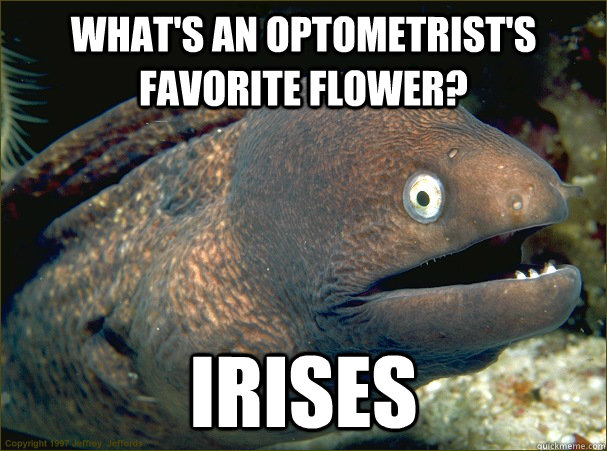 What's an optometrist's favorite flower? Irises - What's an optometrist's favorite flower? Irises  Bad Joke Eel