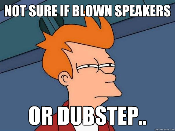 Not sure if blown speakers Or dubstep..  Futurama Fry