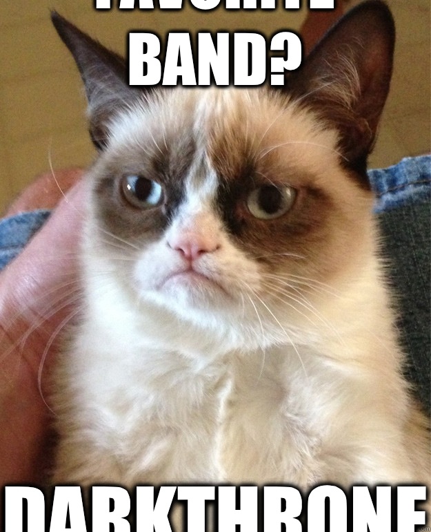 Favorite band? Darkthrone  Grumpy Cat