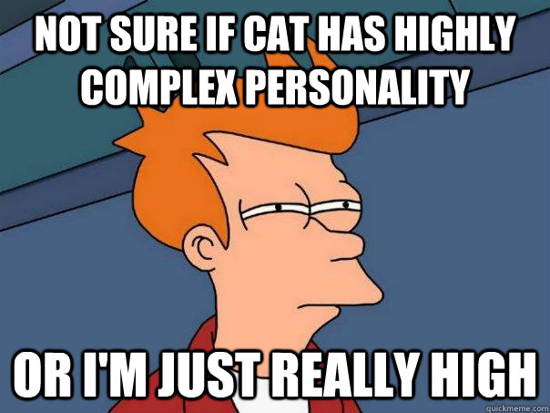 Not sure if cat has highly complex personality or I'm just really high  Futurama Fry