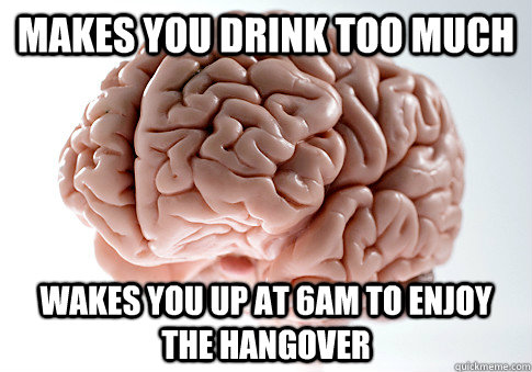 Makes you drink too much Wakes you up at 6am to enjoy the hangover  Scumbag Brain