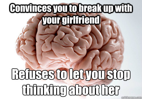 Convinces you to break up with your girlfriend Refuses to let you stop thinking about her  Scumbag Brain