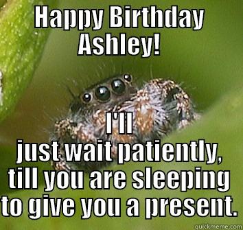 HAPPY BIRTHDAY ASHLEY! I'LL JUST WAIT PATIENTLY, TILL YOU ARE SLEEPING TO GIVE YOU A PRESENT. Misunderstood Spider