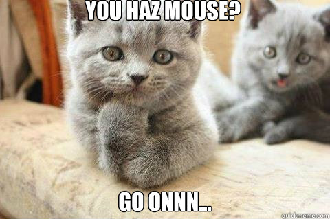 YOU HAZ MOUSE? Go onnn...  go on cat