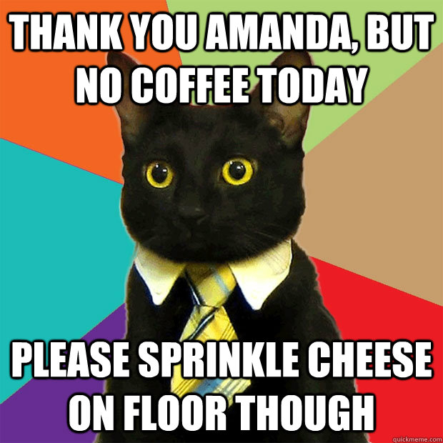 Thank you Amanda, but no coffee today please sprinkle cheese on floor though  Business Cat