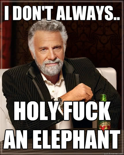 I don't always.. HOLY FUCK an elephant  The Most Interesting Man In The World