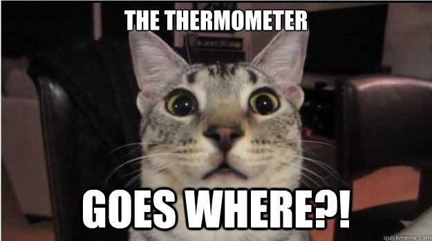 The thermometer goes Where?! - The thermometer goes Where?!  NylahKitty