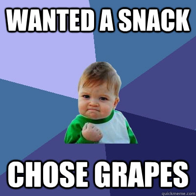 Wanted a snack                  chose grapes - Wanted a snack                  chose grapes  Success Kid