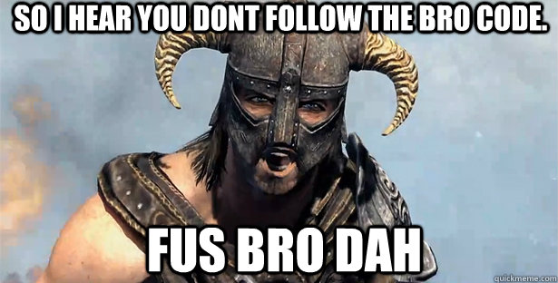 so i hear you dont follow the bro code. fus bro dah  skyrim