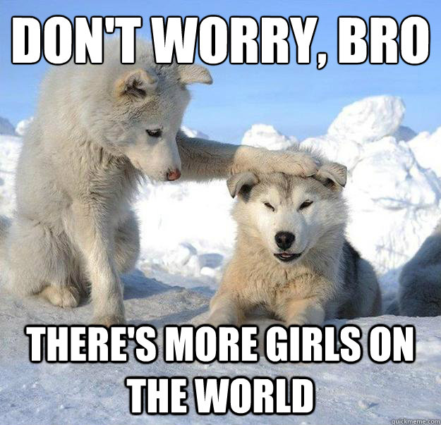 Don't worry, bro
 There's more girls on the world  Caring Husky