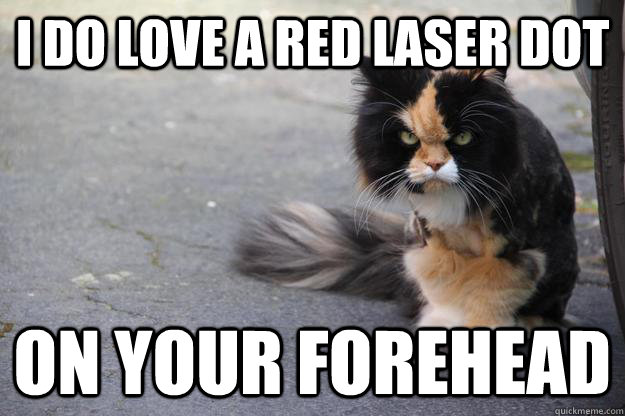 I do love a red laser dot on your forehead - I do love a red laser dot on your forehead  Angry Cat