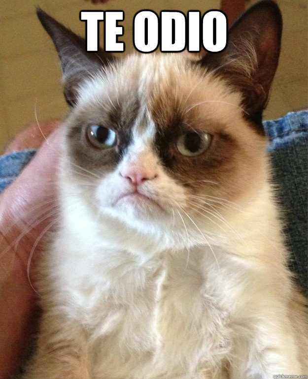 te odio   Grumpy Cat