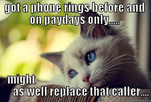 GOT A PHONE RINGS BEFORE AND ON PAYDAYS ONLY..... MIGHT                                                           AS WELL REPLACE THAT CALLER.... First World Problems Cat