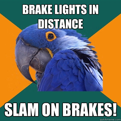 Brake lights in distance slam on brakes! - Brake lights in distance slam on brakes!  Paranoid Parrot