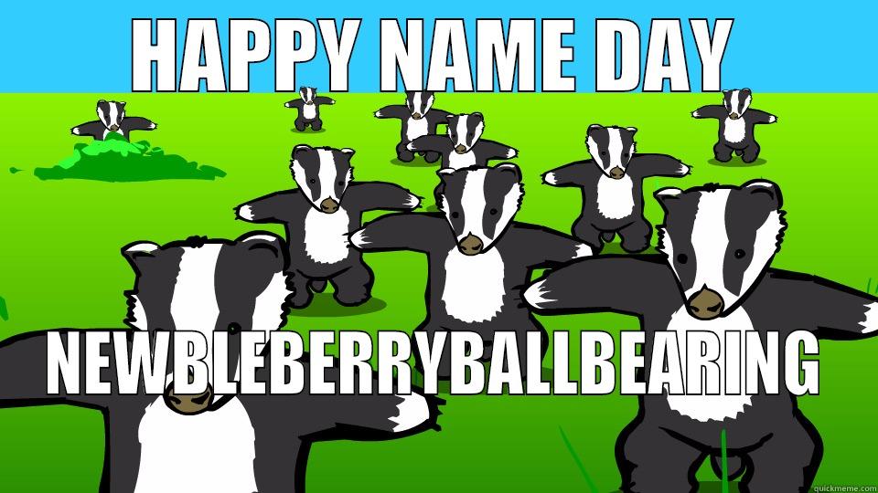 HAPPY NAME DAY NEWBLEBERRYBALLBEARING Misc