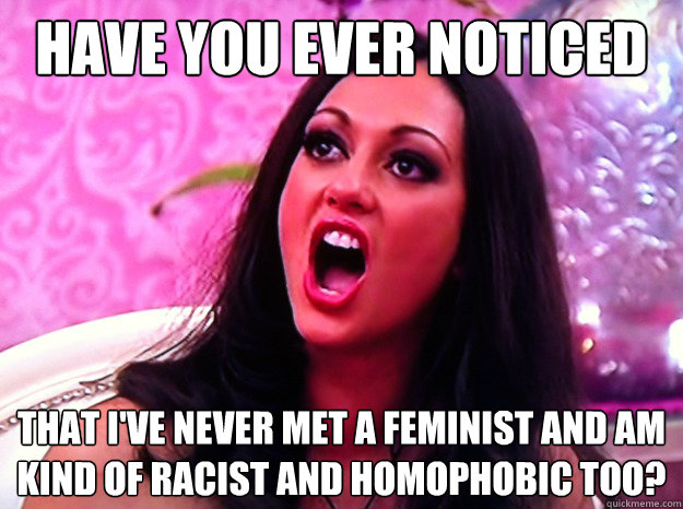 have you ever noticed that I've never met a feminist and am kind of racist and homophobic too?  Feminist Nazi