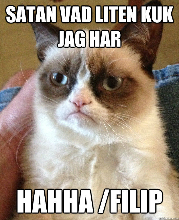 satan vad liten kuk jag har hahha /filip  Grumpy Cat