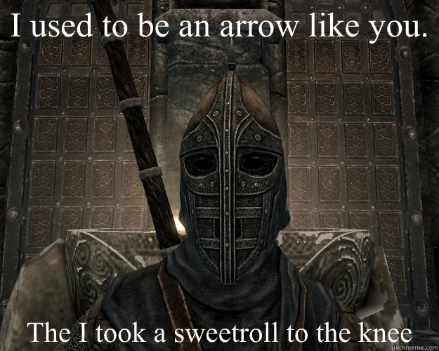 I used to be an arrow like you. The I took a sweetroll to the knee  Skyrim Soldiers