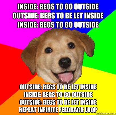 Inside: begs to go outside
Outside: begs to be let inside
Inside: begs to go outside Outside: begs to be let inside
Inside: begs to go outside
Outside: begs to be let inside
Repeat infinite feedback loop  Advice Dog