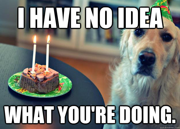 I have no idea What you're doing.  Sad Birthday Dog