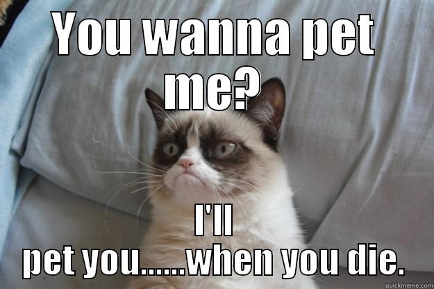 PettingThis Guy - YOU WANNA PET ME? I'LL PET YOU......WHEN YOU DIE. Grumpy Cat