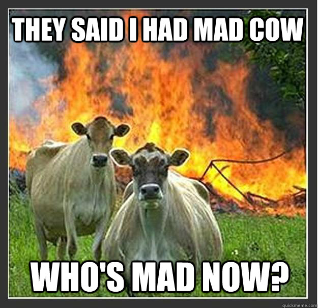 They said I had mad cow Who's mad now?  Evil cows