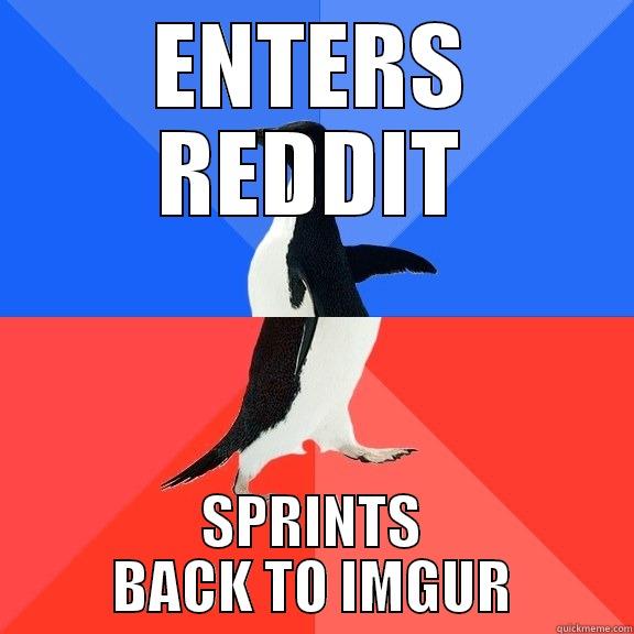 ENTERS REDDIT SPRINTS BACK TO IMGUR Socially Awkward Awesome Penguin