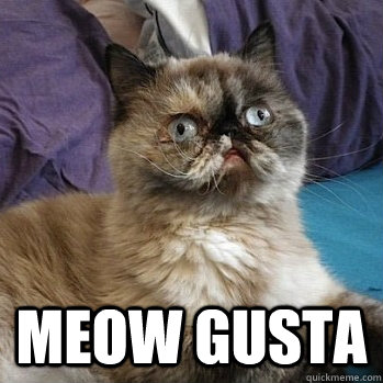  MEOW GUSTA -  MEOW GUSTA  Meow Gusta