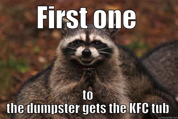 FIRST ONE TO THE DUMPSTER GETS THE KFC TUB Evil Plotting Raccoon