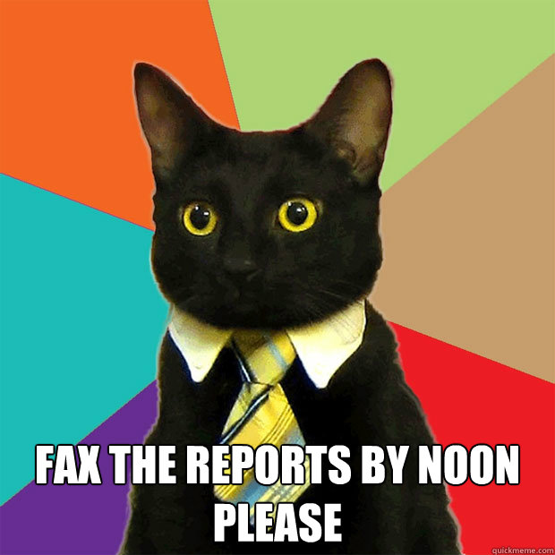  FAX THE REPORTS BY NOON PLEASE  Business Cat