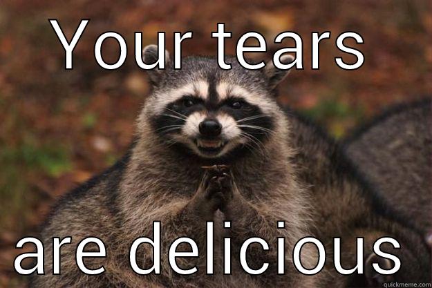 YOUR TEARS ARE DELICIOUS Evil Plotting Raccoon