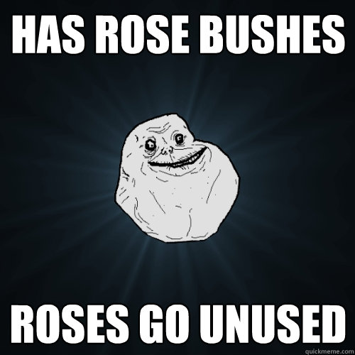 has rose bushes roses go unused  Forever Alone