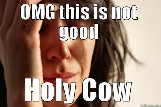 OMG no - OMG THIS IS NOT GOOD HOLY COW First World Problems