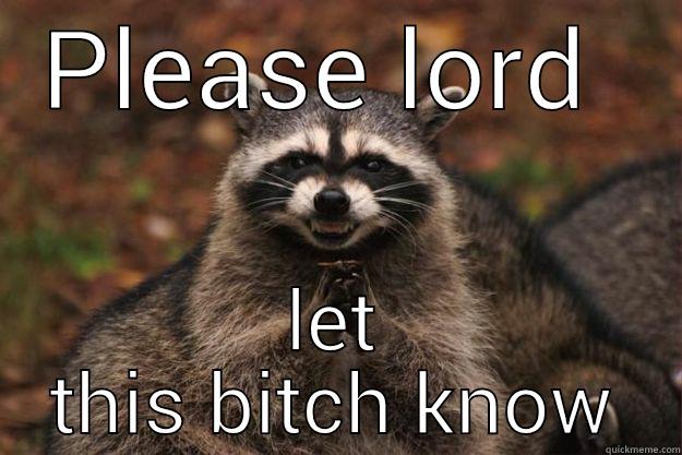 PLEASE LORD  LET THIS BITCH KNOW Evil Plotting Raccoon