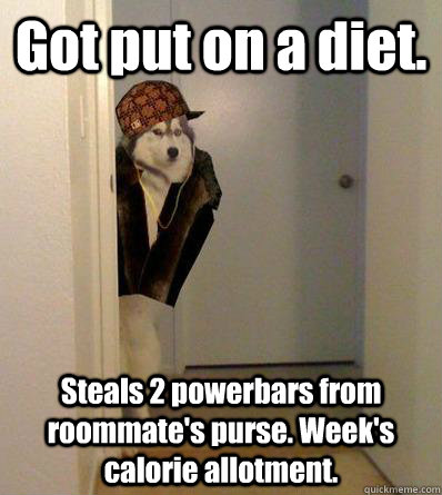 Got put on a diet. Steals 2 powerbars from roommate's purse. Week's calorie allotment.  Scumbag dog