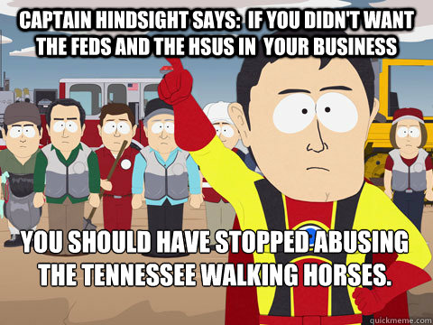 Captain Hindsight says:  if you didn't want the Feds and the HSUS in  your business you should Have stopped abusing the Tennessee Walking Horses.  Captain Hindsight