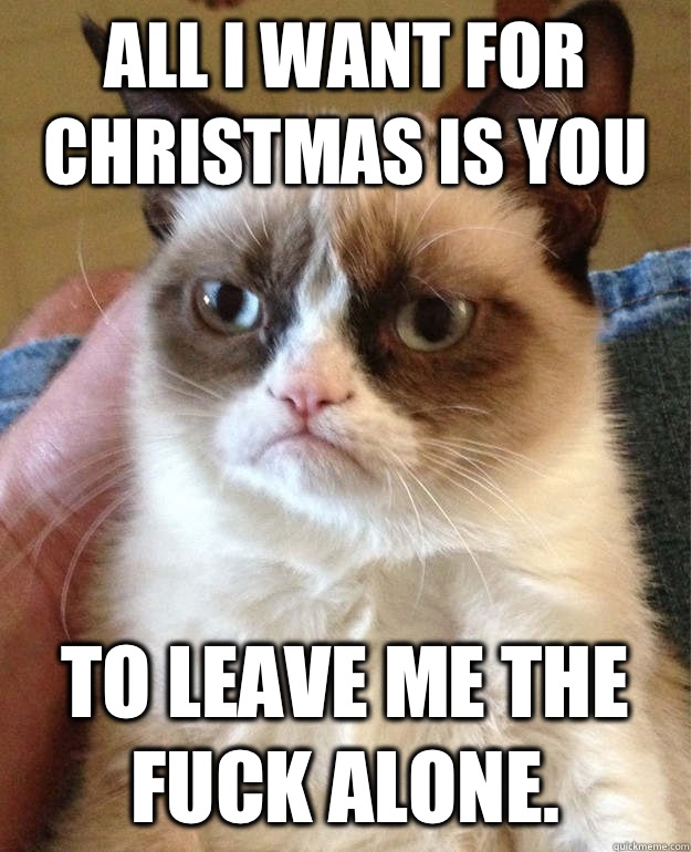 All I want for Christmas is you To leave me the fuck alone.  Grumpy Cat