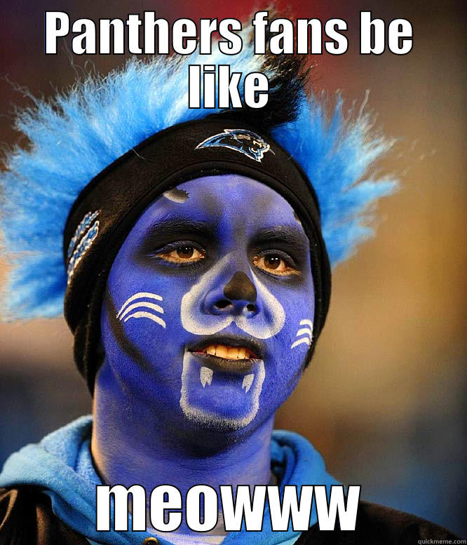 PANTHERS FANS BE LIKE MEOWWW Misc