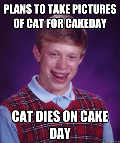 Plans to take pictures of cat for cakeday cat dies on cake day  Bad Luck Brian