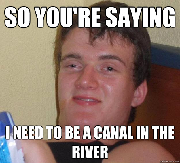 So you're saying I need to be a canal in the river - So you're saying I need to be a canal in the river  10 Guy