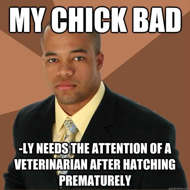 my chick bad -ly needs the attention of a veterinarian after hatching prematurely  Successful Black Man