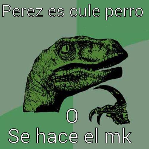 PEREZ ES CULE PERRO  O SE HACE EL MK  Philosoraptor