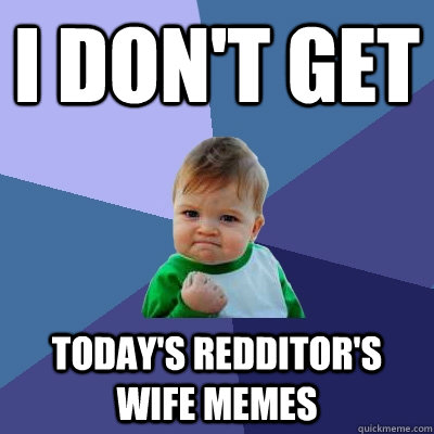 I don't get today's redditor's wife memes  Success Kid