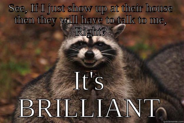 SEE, IF I JUST SHOW UP AT THEIR HOUSE THEN THEY WILL HAVE TO TALK TO ME, RIGHT? IT'S BRILLIANT Evil Plotting Raccoon