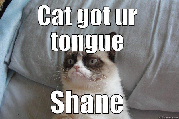 CAT GOT UR TONGUE SHANE Grumpy Cat